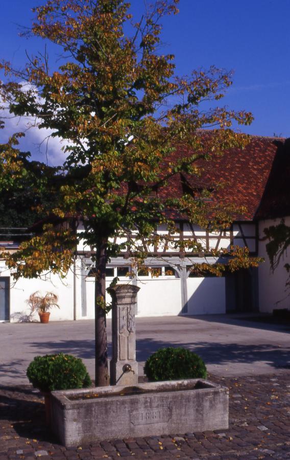 Markgraeflich Badischer Gasthof Schwanen 잘렘 외부 사진